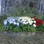 総会入口の花